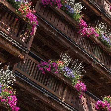 Hotell Matterhorn Boutique & Zermatt