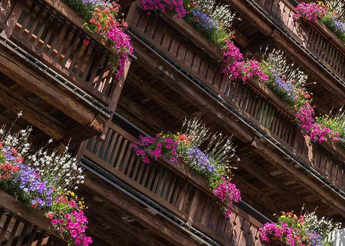 Hotel Matterhorn Boutique & Zermatt